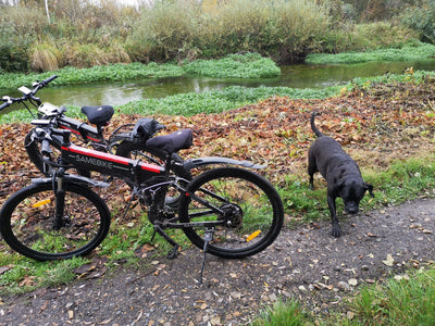 Ebike's Cleaning and Maintaining: How To Extend The Life Of Your Chain?