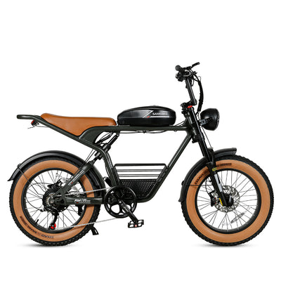 M20 Series 1500-2600W Electric Bicycle